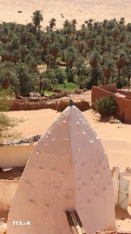 Khám phá cuộc sống nơi ốc đảo trên sa mạc Sahara