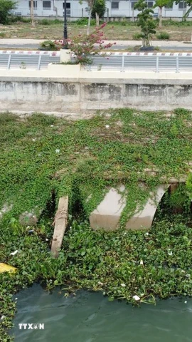 Một đoạn kè Thường Thới Tiền (huyện Hồng Ngự) bị sạt lở gây hư hỏng toàn bộ phần chân kè và một phần mái kè. (Ảnh: Nhựt An/TTXVN)