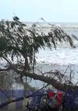 Sạt lở có thể “nuốt chửng” bãi biển Mỹ Khê