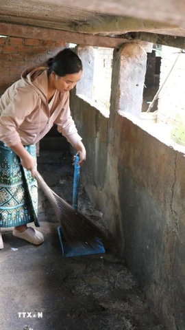 Đợt dịch vừa qua, gia đình chị Niê Ayua Nga, xã Ea Phê, tỉnh Đắk Lắk có 40 con lợn nuôi được khoảng 3,5 tháng bị chết do dịch tả lợn châu Phi. (Ảnh: Nguyên Dung/TTXVN)