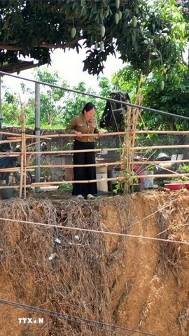 Gia đình chị Nguyễn Thị Nguyệt tại xã Phú Riềng (Đồng Nai) phải làm 2 lớp hàng rào ngăn cách với mép vực để bảo đảm an toàn. Ảnh: Đậu Tất Thành – TTXVN