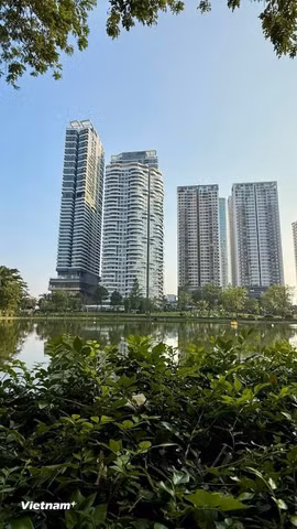 Các quy định về xử lý vi phạm pháp luật về đất đai của tổ chức, cá nhân được quy định tại Nghị quyết này được thực hiện đến hết ngày 1/5/2029. Ảnh chỉ mang tính minh họa. (Nguồn: Vietnam+)