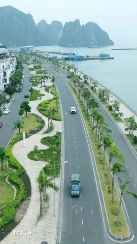 Quảng Ninh dự kiến đầu tư 2 dự án đường ven biển 5.500 tỷ đồng. (Ảnh: Quốc Khánh/TTXVN)