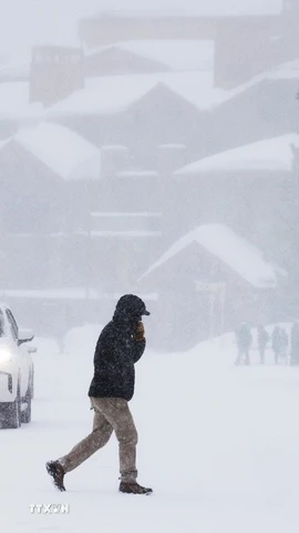 (Tư liệu) Tuyết phủ trắng xóa tại Mammoth Lakes, California, Mỹ. (Ảnh: AFP/TTXVN)