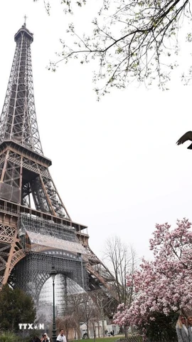 Tháp Eiffel tại thủ đô Paris, Pháp. Ảnh: THX/TTXVN