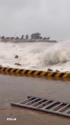 Sóng biển dâng cao ở đảo Lý Sơn do bão số 13. (Ảnh: Phạm Cường/TTXVN) 