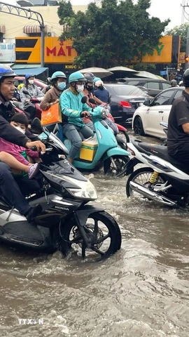 Nước dâng sớm, rút chậm trên đường Phạm Hữu Lầu, kéo dài từ cầu Phước Long đến đường Huỳnh Tấn Phát (Thành phố Hồ Chí Minh) khiến các phương tiện di chuyển chậm, khó khăn. (Ảnh: Hương Giang/TTXVN)