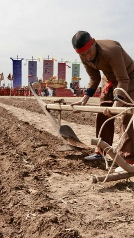 Lễ hội Tịch điền tại phường Tiên Sơn. (Ảnh: Trần Việt/TTXVN)