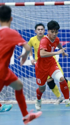 Đội tuyển Futsal Việt Nam tham dự cả hai giải đấu U19 và U16 Đông Nam Á tại Thái Lan. (Ảnh: VFF)