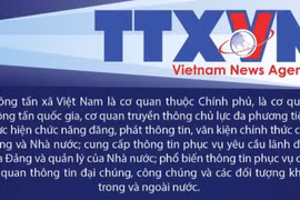 Cơ cấu tổ chức của Thông tấn xã Việt Nam