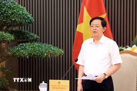 Phó Thủ tướng Hồ Quốc Dũng phát biểu. (Ảnh: Tuấn Anh/TTXVN)