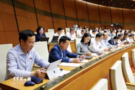 Đoàn đại biểu Quốc hội tỉnh Thanh Hóa tham dự phiên họp của Quốc hội. (Ảnh: Doãn Tấn/TTXVN)