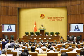 Bộ trưởng Bộ Y tế Đào Hồng Lan, thừa ủy quyền của Thủ tướng Chính phủ trình bày tờ trình về 3 dự án Luật. (Ảnh: Doãn Tấn/TTXVN)