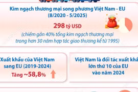 Những kết quả nổi bật sau 5 năm thực thi Hiệp định Thương mại Tự do Việt Nam-EU