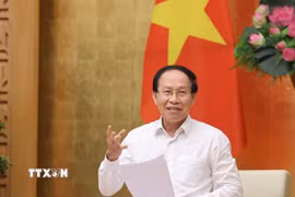 Phó Thủ tướng Lê Tiến Châu phát biểu chỉ đạo. (Ảnh: Lâm Khánh/TTXVN)