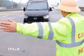 Ảnh minh họa. (Nguồn: TTXVN)