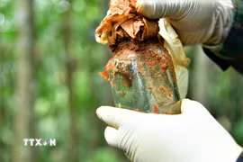 Lọ thủy tinh có chứa giấy nghi có thông tin được an táng kèm hài cốt liệt sỹ. (Ảnh: TTXVN phát)