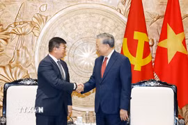 Tổng Bí thư, Chủ tịch nước Tô Lâm tiếp Đại sứ Mông Cổ tại Việt Nam Jigjee Sereejav. (Ảnh: Thống Nhất/TTXVN)
