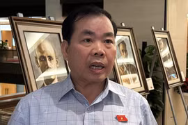 Đại biểu Nguyễn Quang Huân (đoàn Bình Dương) trả lời phỏng vấn. (Ảnh: Hải Ngọc/TTXVN)