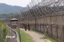 Binh sỹ Hàn Quốc tuần tra tại Khu phi quân sự liên Triều ở huyện Goseong, tỉnh Gangwon. (Ảnh: AP/TTXVN)