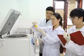 Ảnh minh họa. (Nguồn: Viện Hàn lâm Khoa học và Công nghệ Việt Nam)
