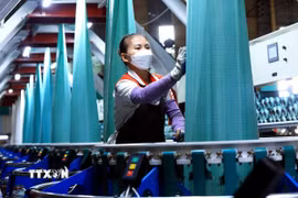 Ảnh minh họa. (Nguồn: Tuấn Anh/TTXVN)