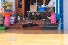 Nước sông Cầu dâng cao bất thường khiến nhiều hộ gia đình thôn Ngô Đạo, xã Đa Phúc (Hà Nội) bị ngập sâu. (Ảnh: Hoàng Hiếu/TTXVN)