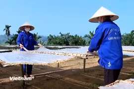 Sản xuất miến đao tại xã Quy Mông, tỉnh Lào Cai. (Nguồn: Vietnam+)