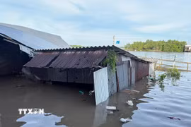 Hiện trường vụ sạt lở tại khu vực chợ Nhà lồng Kinh 17, xã Tam Giang. (Ảnh: TTXVN phát)