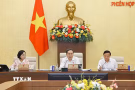 Chủ tịch Quốc hội Trần Thanh Mẫn phát biểu. (Ảnh: Doãn Tấn/TTXVN)