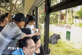 Khách du lịch tham quan một Safari. (Ảnh minh họa: Lê Huy Hải/TTXVN)
