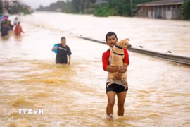 Cảnh ngập lụt tại Hat Yai, tỉnh Songkhla, Thái Lan, ngày 25/11/2025. (Ảnh: THX/TTXVN)