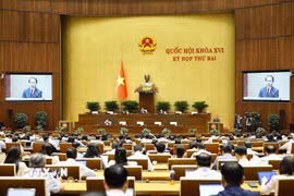 Bộ trưởng Bộ Tư pháp Hoàng Thanh Tùng, thừa ủy quyền của Thủ tướng Chính phủ trình bày Tờ trình về dự án Luật Đất đai (sửa đổi). (Ảnh: Doãn Tấn/TTXVN)