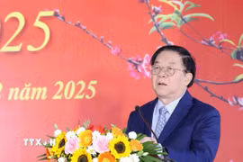 Ông Nguyễn Trọng Nghĩa, Ủy viên Bộ Chính trị, Bí thư Trung ương Đảng, Trưởng Ban Tuyên giáo và Dân vận Trung ương phát biểu chỉ đạo hội nghị. (Ảnh: Phương Hoa/TTXVN)