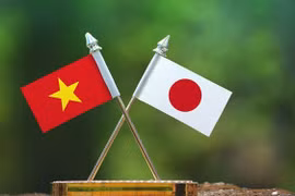 Ảnh minh họa.