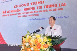 Chủ tịch Quốc hội Trần Thanh Mẫn phát biểu. (Ảnh: Doãn Tấn/TTXVN)