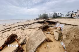 Sóng biển gây sạt lở, ăn sâu vào đất liền thôn Thanh Hải, xã Bắc Trạch. (Ảnh: Nguyên Linh/TTXVN)