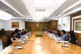 Quang cảnh Kỳ họp lần thứ 11 Tham vấn chính trị Việt Nam-Ai Cập. (Ảnh: Hoàng Nhương/TTXVN)