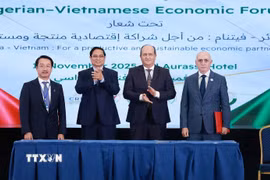 Thủ tướng Phạm Minh Chính và Thủ tướng Algeria Sifi Ghrieb chứng kiến ký kết giữa các doanh nghiệp Việt Nam và Algeria. (Ảnh: Dương Giang/TTXVN)