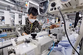 Mức tăng trưởng dự báo của Việt Nam có sự điều chỉnh nhẹ so với tốc độ ấn tượng giai đoạn 2016-2025 nhưng vẫn duy trì trên mức 5% - con số đáng nể đối với hầu hết các nền kinh tế phát triển. (Ảnh: Trần Việt/TTXVN)