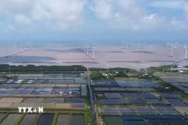 Các dự án điện gió hoạt động ven biển Đông tại xã Vĩnh Hậu, tỉnh Cà Mau. (Ảnh: Tuấn Phi/TTXVN)