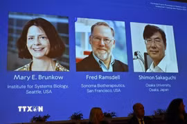 Chân dung các nhà khoa học đoạt giải Nobel Y Sinh năm 2025 (từ trái sang): Mary E Brunkow, Fred Ramsdell và Shimon Sakaguchi. (Ảnh: Reuters/TTXVN)