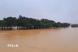 Cồn Dã Viên giữa sông Hương, thành phố Huế vẫn bị ngập sâu do lũ còn trên báo động 3 là 0,37m. (Ảnh: Nguyên Lý/TTXVN)