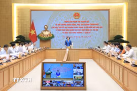 Phó Thủ tướng Phạm Thị Thanh Trà chủ trì buổi làm việc. (Ảnh: An Đăng/TTXVN)