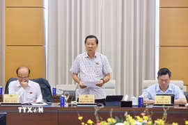 Chủ nhiệm Ủy ban Kinh tế và Tài chính của Quốc hội Phan Văn Mãi. (Ảnh: Doãn Tấn/TTXVN)