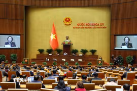 Quang cảnh phiên họp. (Ảnh: Phạm Kiên/TTXVN)