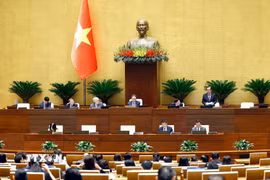 Phó Chủ tịch Quốc hội Lê Minh Hoan phát biểu. (Ảnh: Doãn Tấn/TTXVN)