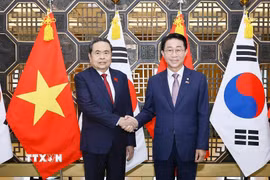 Chủ tịch Quốc hội Trần Thanh Mẫn và Chủ tịch Quốc hội Hàn Quốc Cho Jeong Sik. (Ảnh: Doãn Tấn/TTXVN)