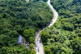 Một góc Vườn Quốc gia Cúc Phương, nơi nam du khách mất tích nhiều ngày qua. (Nguồn: Vườn Quốc gia Cúc Phương)