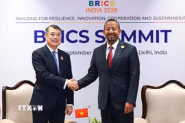 Thủ tướng Lê Minh Hưng gặp Thủ tướng Ethiopia Abiy Ahmed. (Ảnh: Dương Giang/TTXVN)